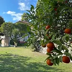 Casa Alice - Tranquilla Casa Con Giardino Ferienhaus
