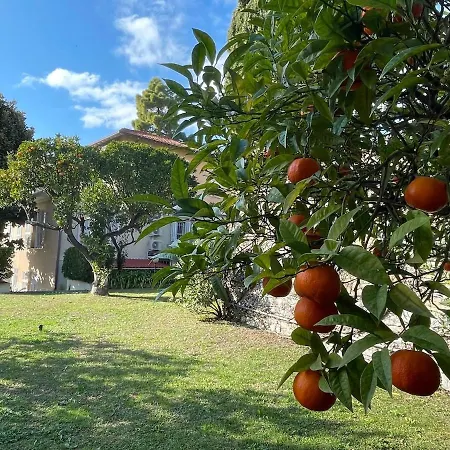 Casa Alice - Tranquilla Casa Con Giardino Feriehus