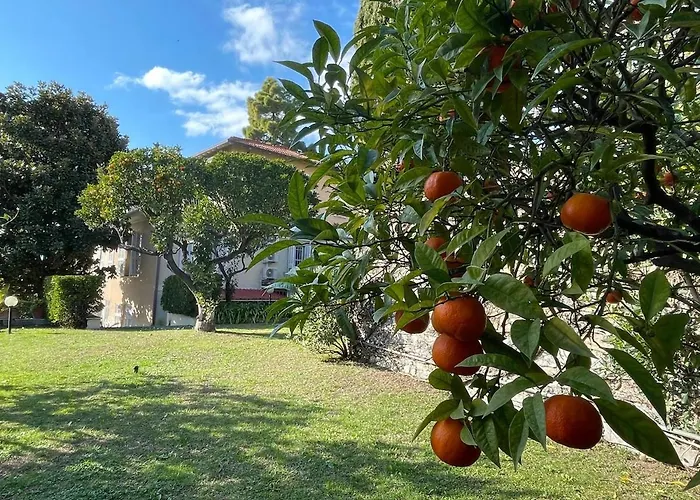 Casa Alice - Tranquilla Casa Con Giardino Feriehus